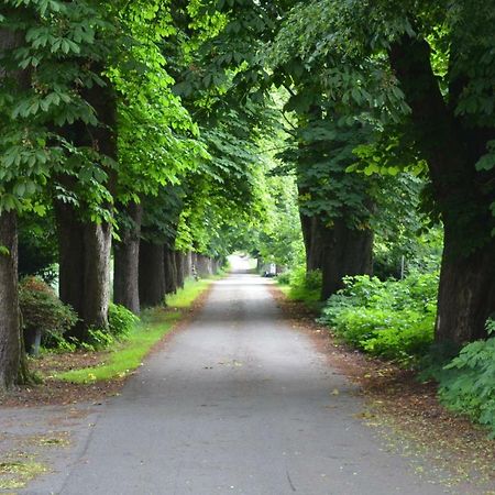 Wohnung Am Weserradweg Deesberg エクステリア 写真