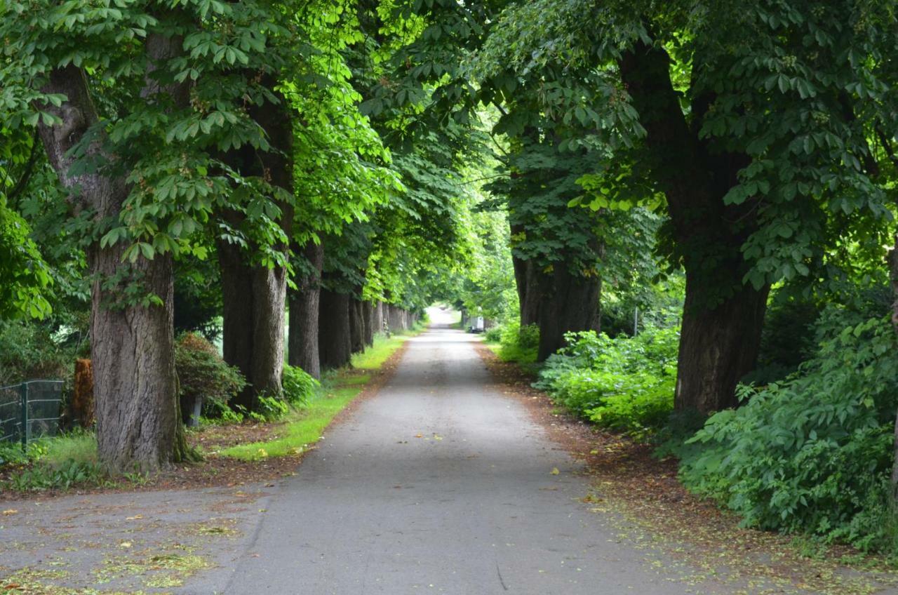 Wohnung Am Weserradweg Deesberg エクステリア 写真